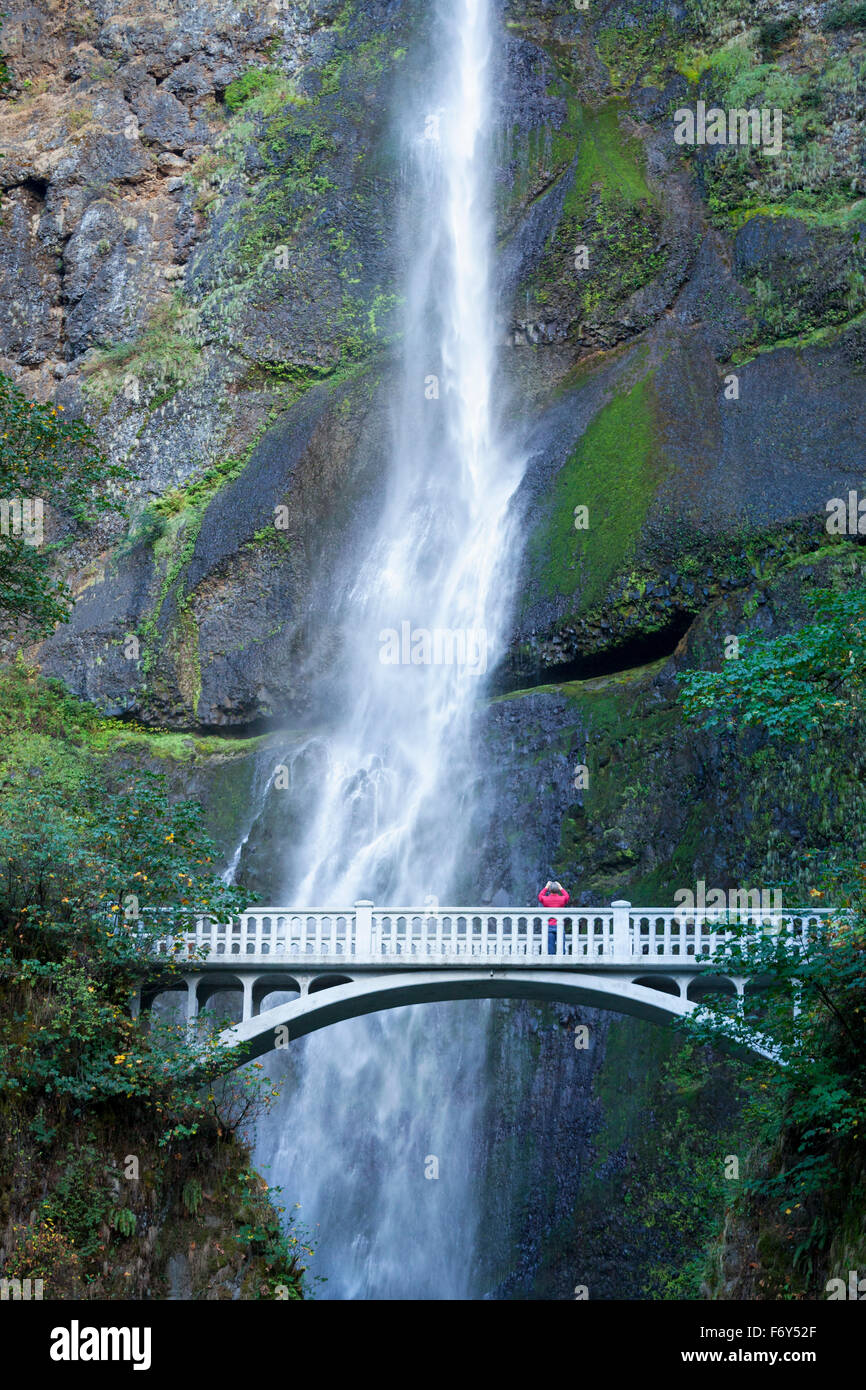 Ein Mann fotografiert Multnomah Falls von einer Brücke in der Columbia-Schlucht in der Nähe von Portland, Oregon. Stockfoto