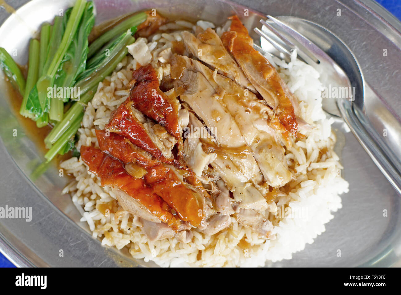Chinesisches Essen, gebratene Ente auf Reis mit sauce Stockfoto