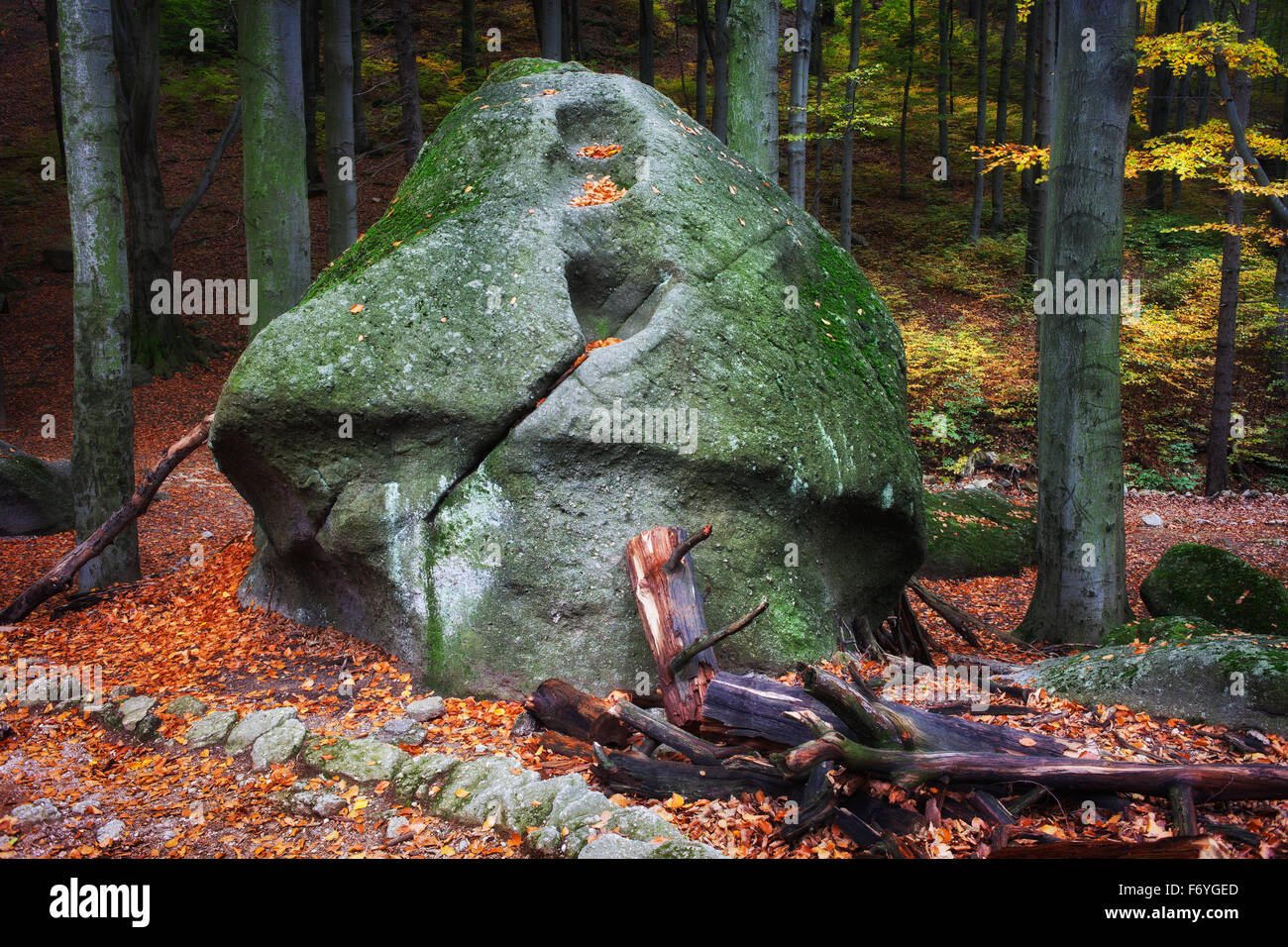 Seltsam aussehende, große Pilz geformten Felsen im herbstlichen Wald, Riesengebirge, Polen. Stockfoto