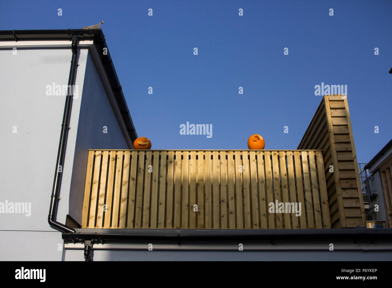 Zwei geschnitzte Kürbisse saß auf einem Zaun am Tag nach Halloween., 1. November 2015. Stockfoto