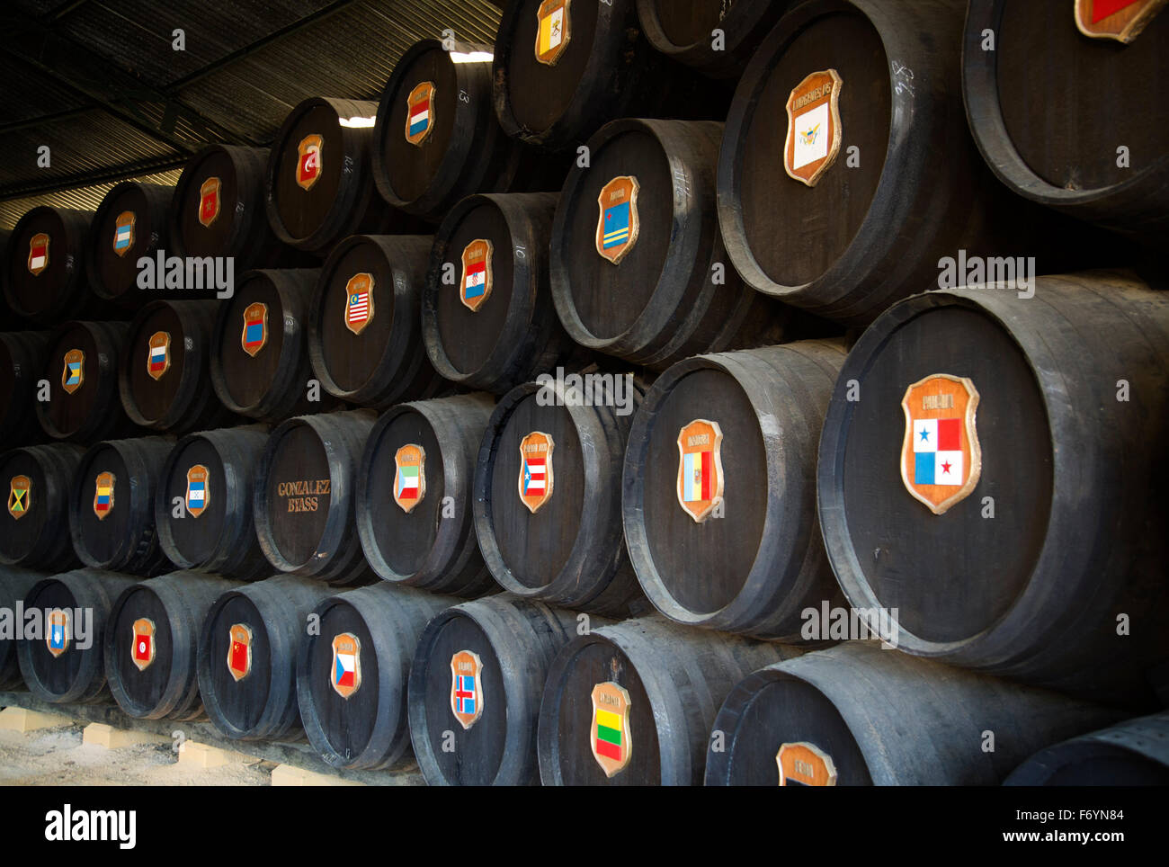 Eichenfässern mit nationalen Symbolen der Länder exportiert von Gonzalez Byass Bodega, Jerez De La Frontera, Spanien Stockfoto