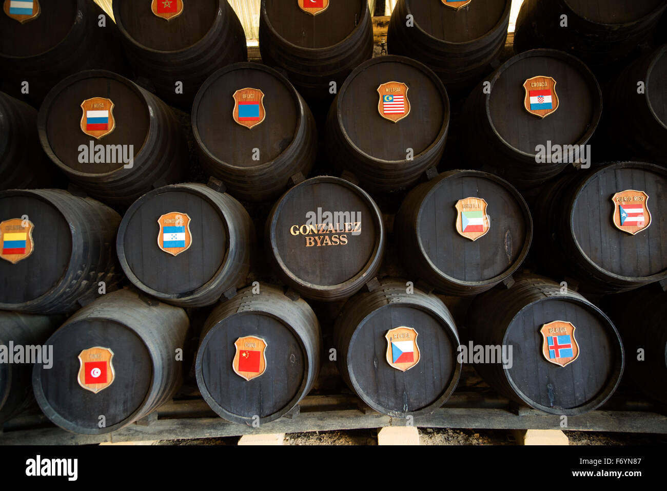 Eichenfässern mit nationalen Symbolen der Länder exportiert von Gonzalez Byass Bodega, Jerez De La Frontera, Spanien Stockfoto