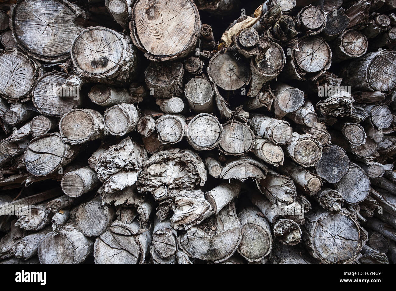 Holzwand aus gehackten faulen Protokolle Stockfoto