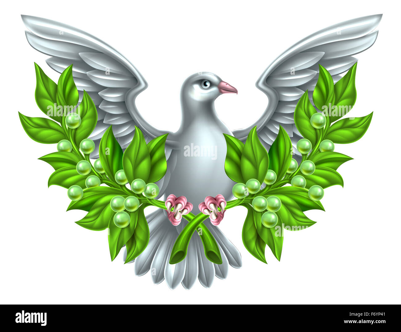 Dove Holding gekreuzt Olivenzweigen, ein Symbol des Friedens Stockfoto
