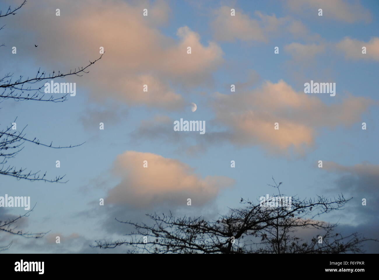 Flauschige Wolken vor blauem Himmel mit Mond, zeigt nur durch Stockfoto