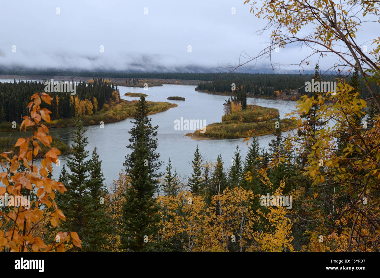 Der Yukon River in der Nähe von Carmacks, Yukon, Kanada Stockfoto