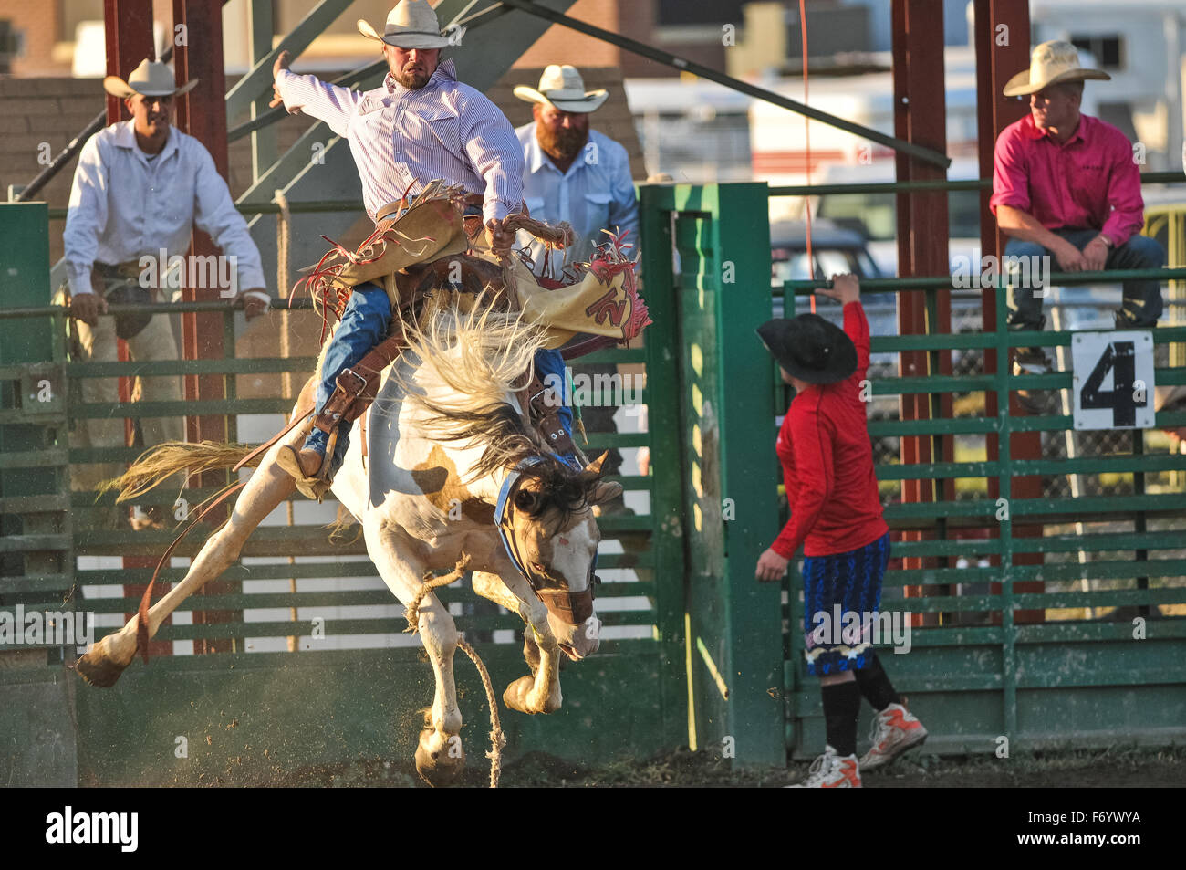 Rodeo Ritt ein Mann versucht zu bleiben, solange er auf der Rückseite dieses Pferd In Arco Idaho kann Stockfoto