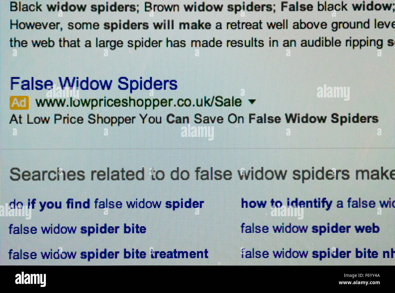 Internet-Suche nach falschen Witwe Spinnen produziert irrelevant für Verkauf Anzeige für Geschäft behaupten sie das beste, sie sparen Stockfoto