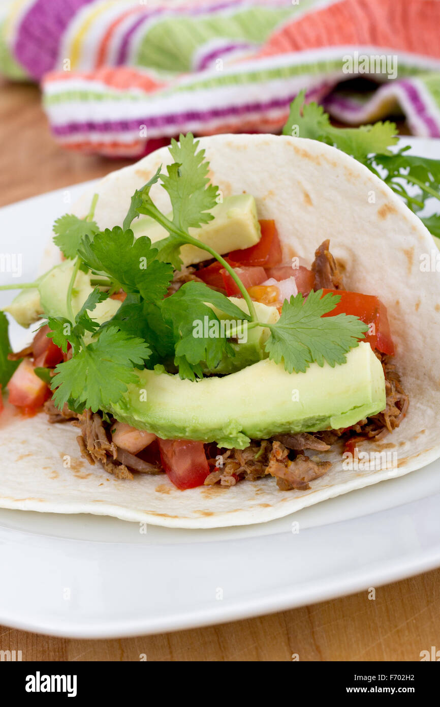 gezogen Schweinefleisch weiche Taco mit Avocado und Koriander Stockfoto