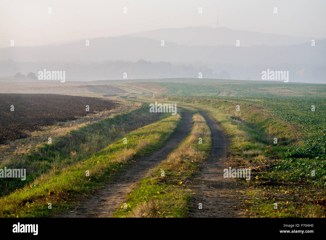 Mount Sleza im Herbst Sonnenuntergang geheimnisvollen Nebel Niederschlesien Stockfoto