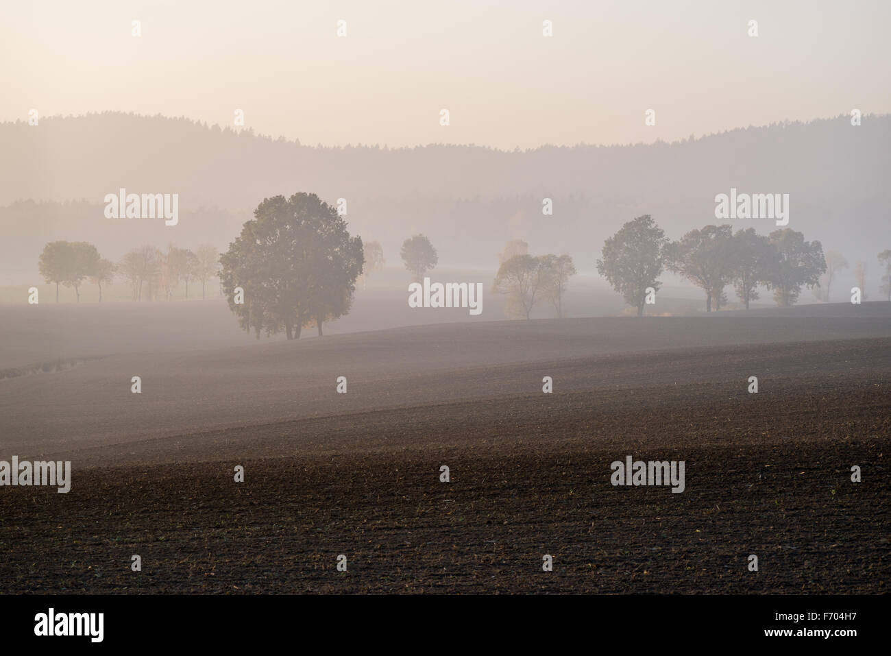 Oktober-Landschaft mit goldenen Sonnenuntergang und Nebel in der Nähe von Mount Sleza Niederschlesien Stockfoto