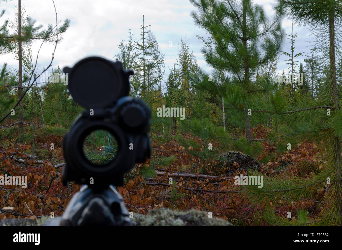 Wie es aussehen wie mit dem Ziel mit einem Leuchtpunktvisier verwendet für die Elchjagd in Nordschweden. Stockfoto
