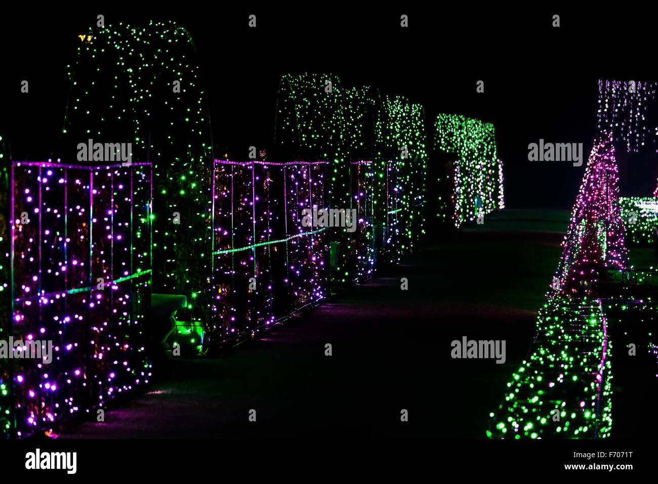 Allee der bunten Weihnachtsbeleuchtung in der Nacht Stockfoto