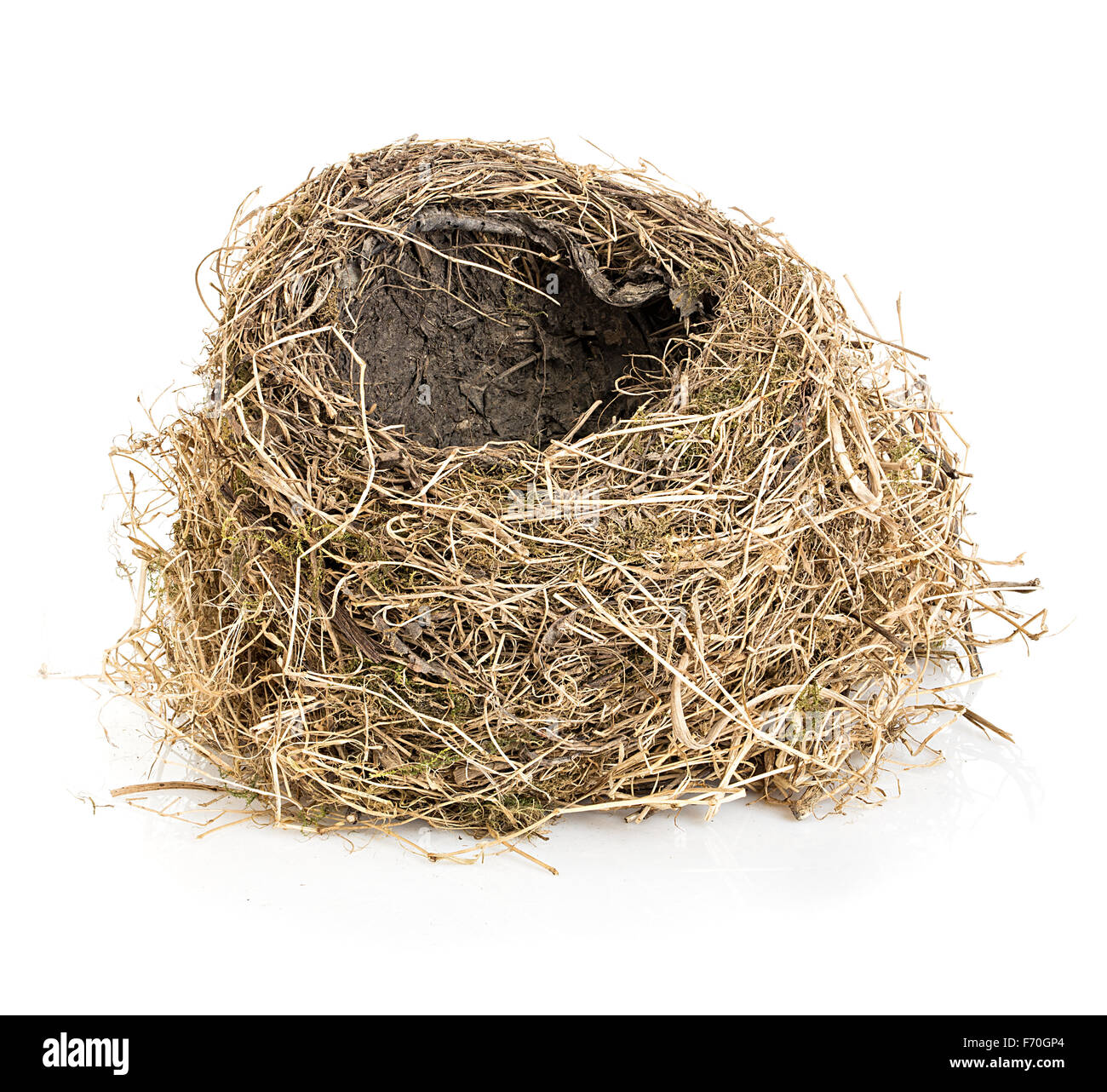 Original leere Vogel Nest Nahaufnahme isoliert auf einem weißen Hintergrund. Stockfoto