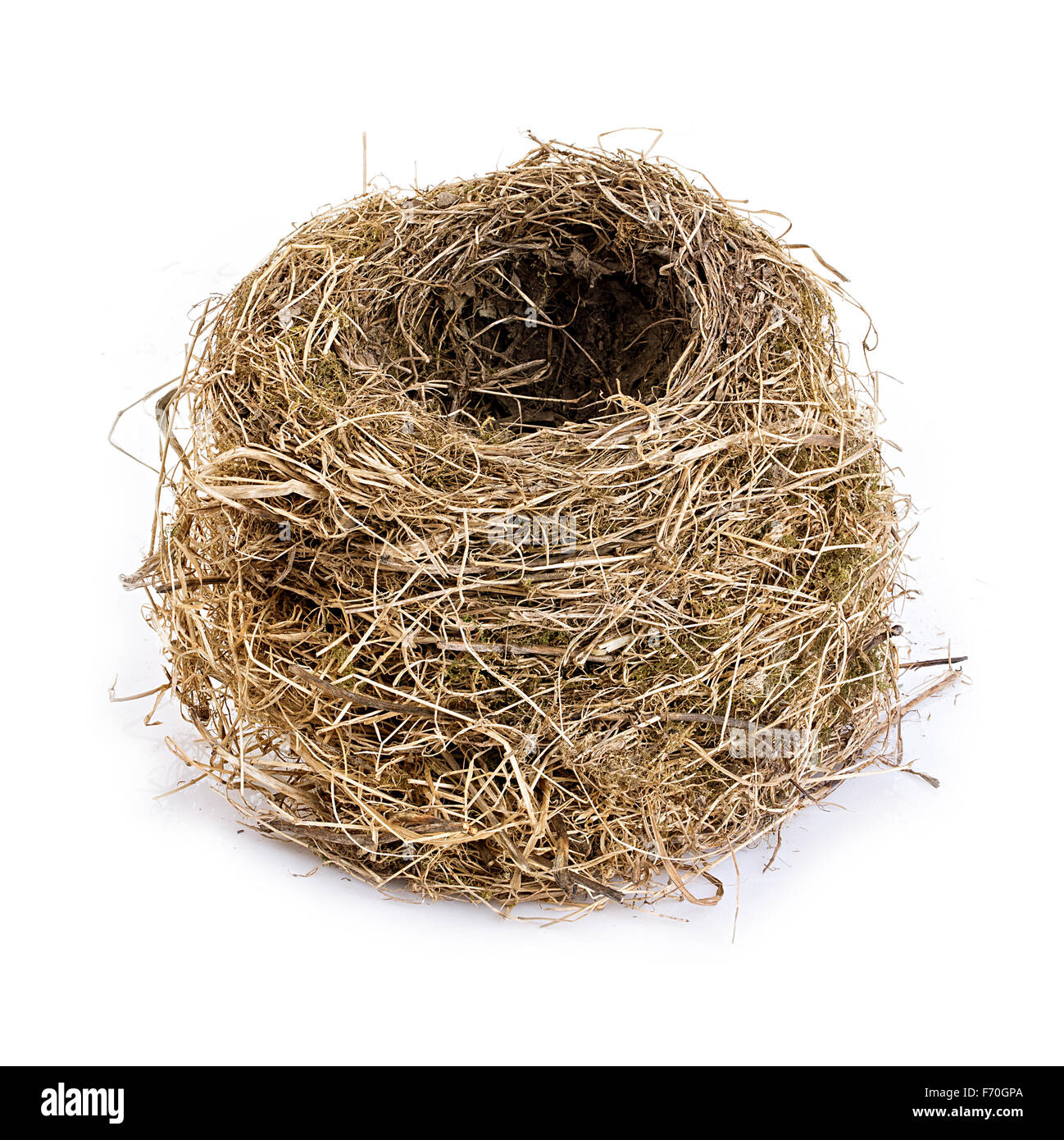 Original leere Vogel Nest Nahaufnahme isoliert auf einem weißen Hintergrund. Stockfoto