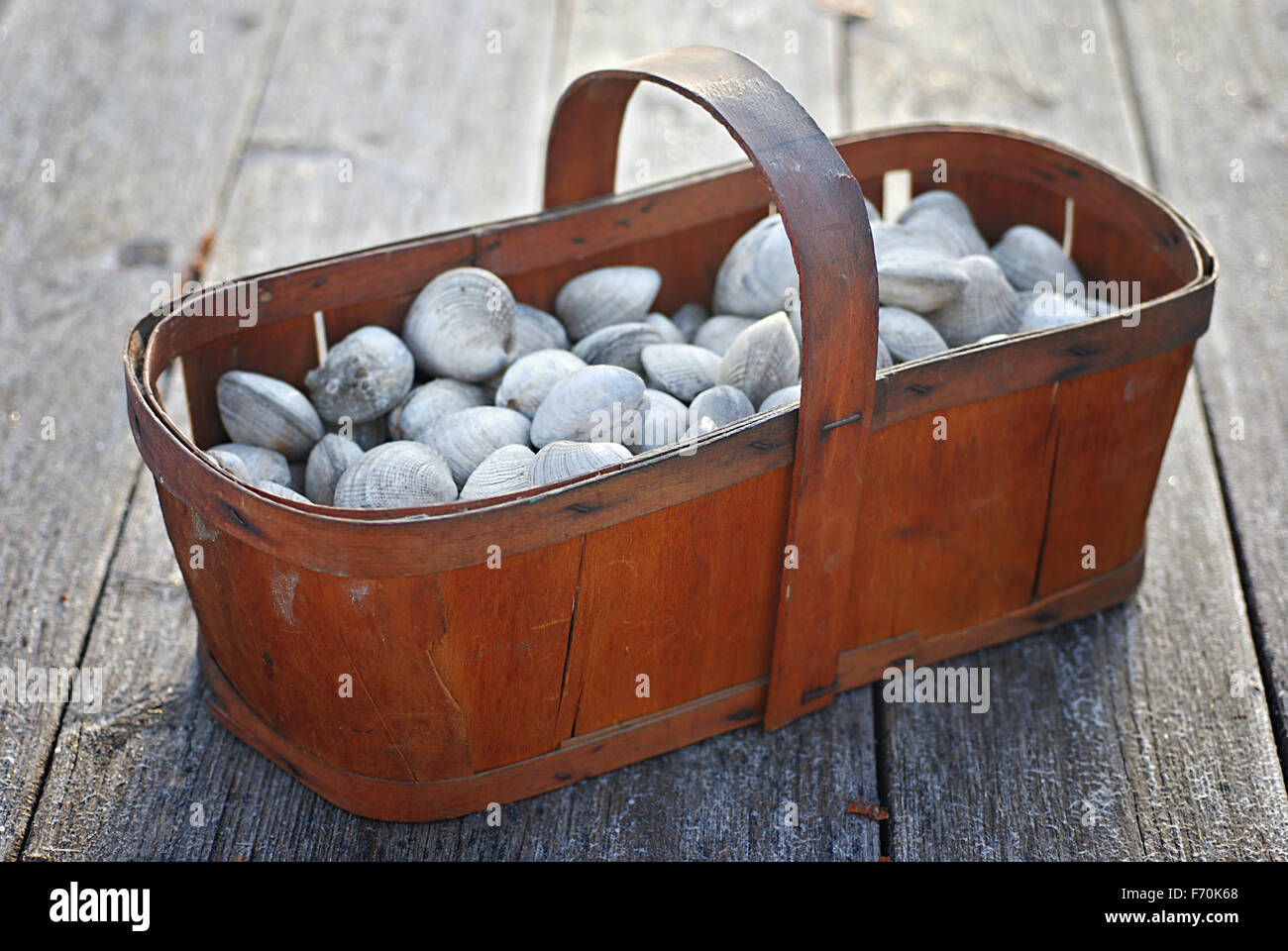 Vintage wood basket filled with fresh live clams Stockfoto