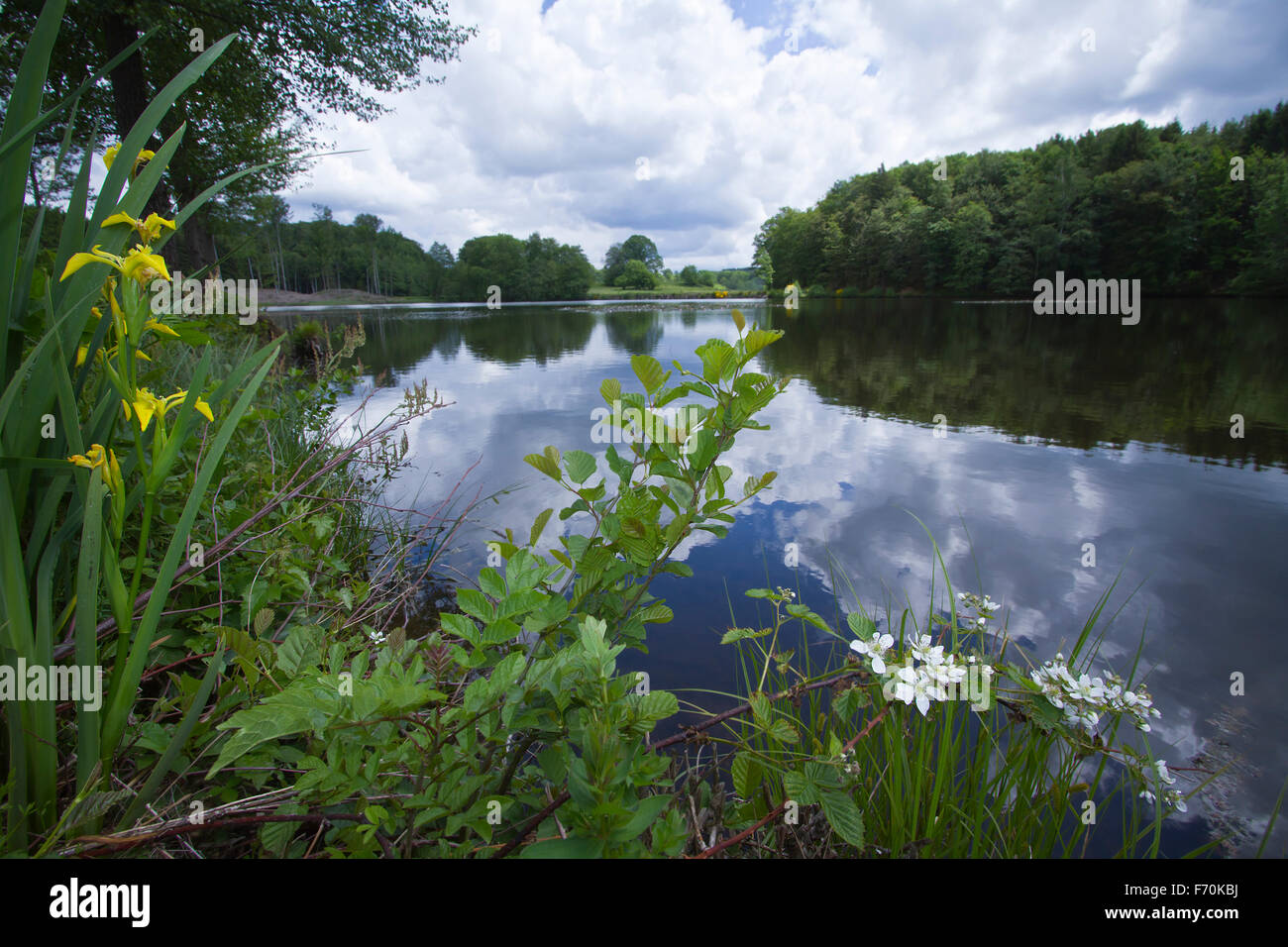 Les Milles Etangs Naturschutzgebiet nordöstlich von Frankreich Stockfoto