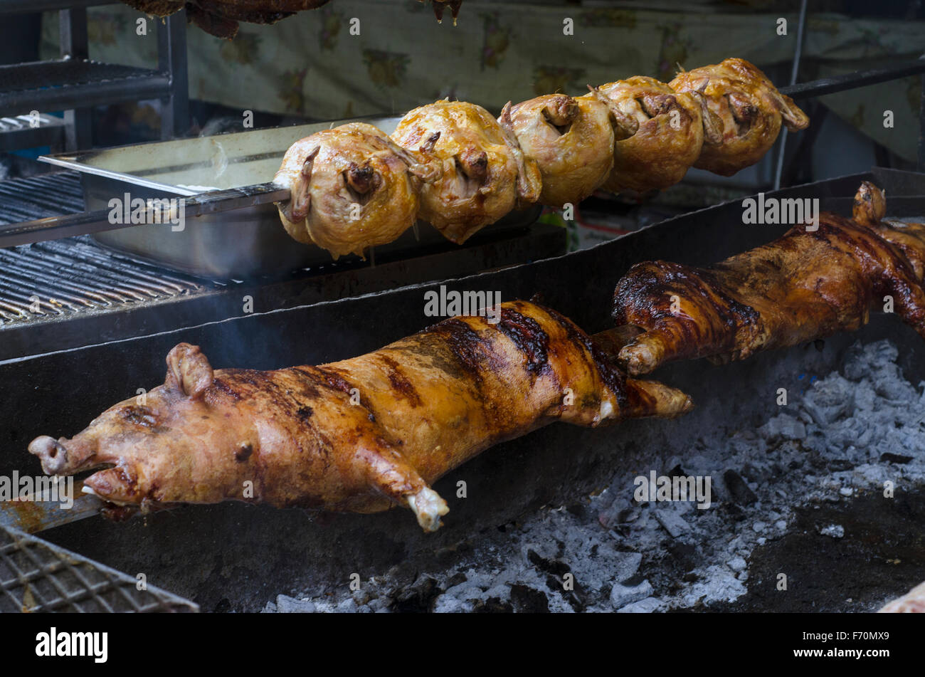 Typisch sardischer Küche. Gebratenes Ferkel und Hühner braten kochen in den Grill in einem typischen sardischen Gemeinschaft fest. Aritzo Au Stockfoto