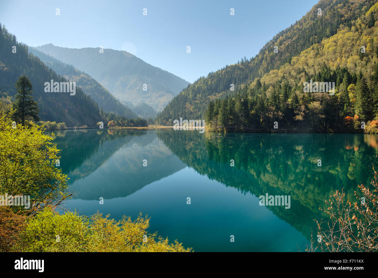 Bambus Arrow Lake Jiuzhaigou Nationalpark Sichuan, China LA007878 Stockfoto