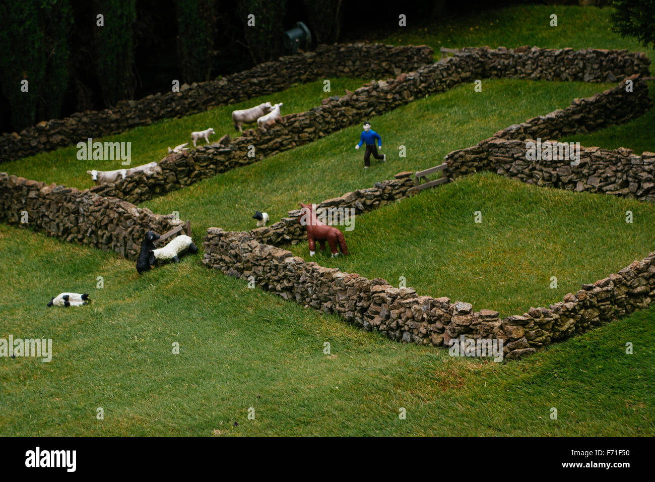 Miniatur-Rinderfarm Stockfoto