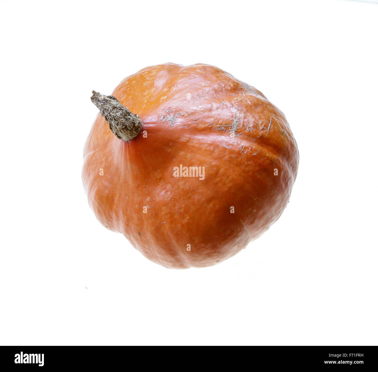 Orange Kürbis roh frisch glänzende isoliert auf weiss Stockfoto