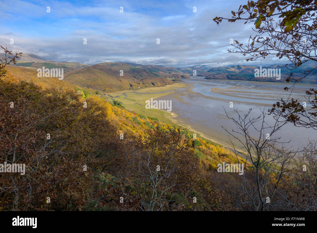 Blick von der Panorama-Spaziergang am Fluss Mawddach Mäander hinunter zum Meer mit herbstlichen Farben auf den bewaldeten Hügeln. Stockfoto