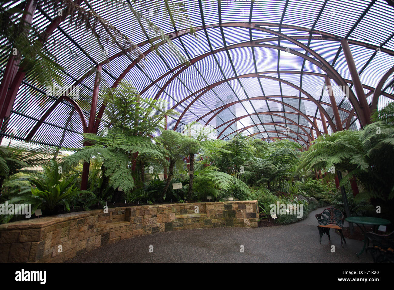 Sydney Royal Botanic Gardens Stockfoto