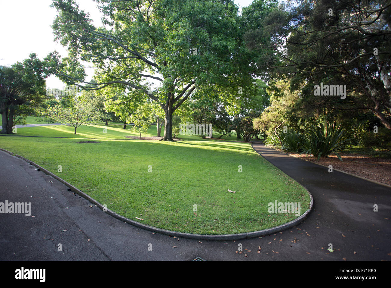 Sydney botanischen Garten grüne Liegewiese Stockfoto