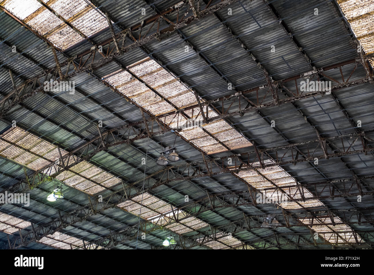 Im Hintergrund eine rostige Wellblech-Dach mit Oberlichtern. Stockfoto