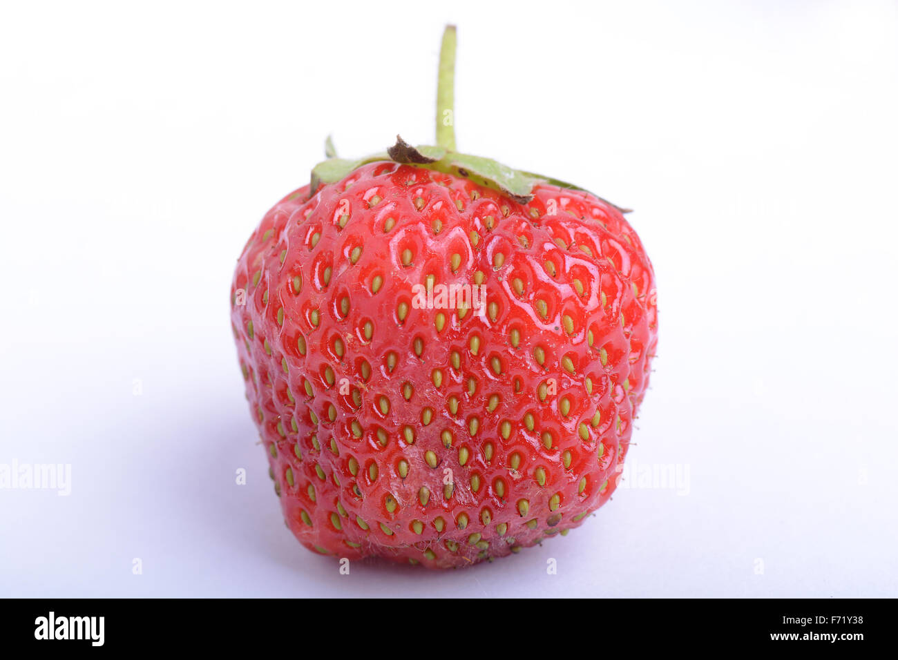 Reife rote leckere Bio Erdbeere, Nahaufnahme, Makro Stockfoto