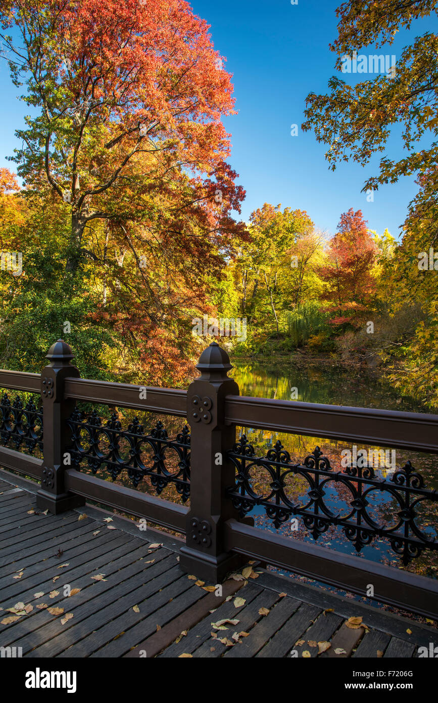 Herbstfarben am Central Park, Manhattan, New York, USA Stockfoto