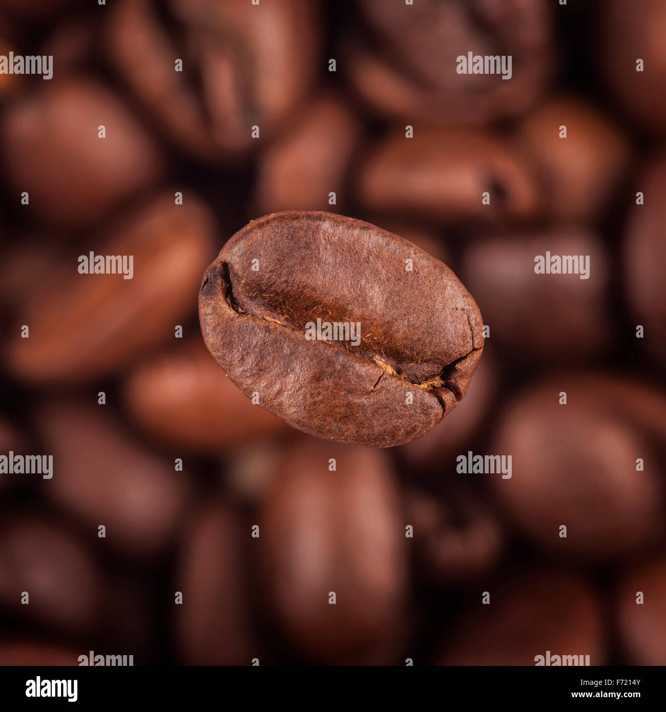 Quadratisches Bild Kaffee Hintergrund Nahaufnahme. Ein Korn im Fokus Stockfoto