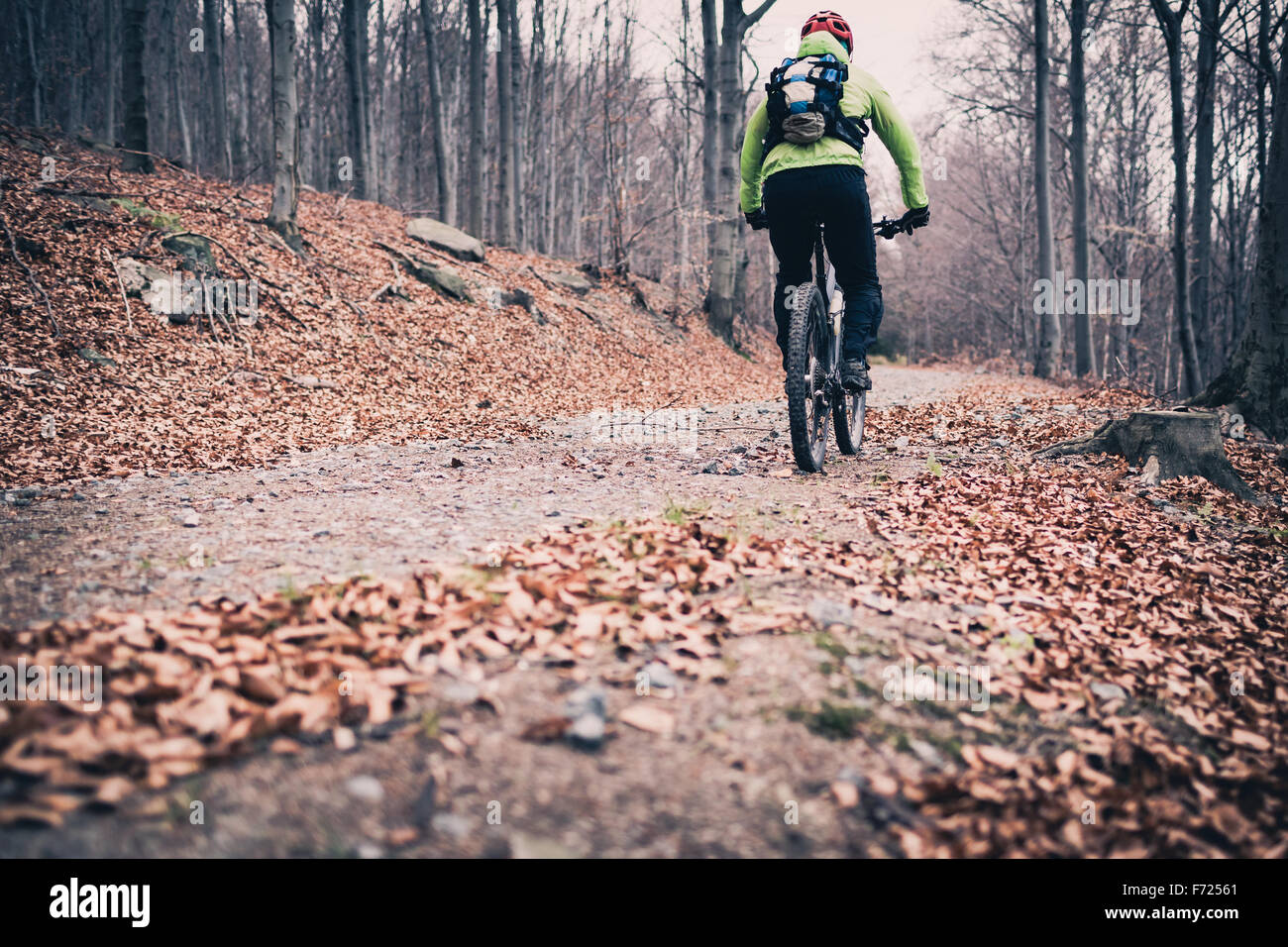 Mountainbiker auf Radweg in Wäldern. Berge im Winter oder Herbst Landschaft Wald. Mann Radsport MTB auf ländlichen Landstraße. S Stockfoto