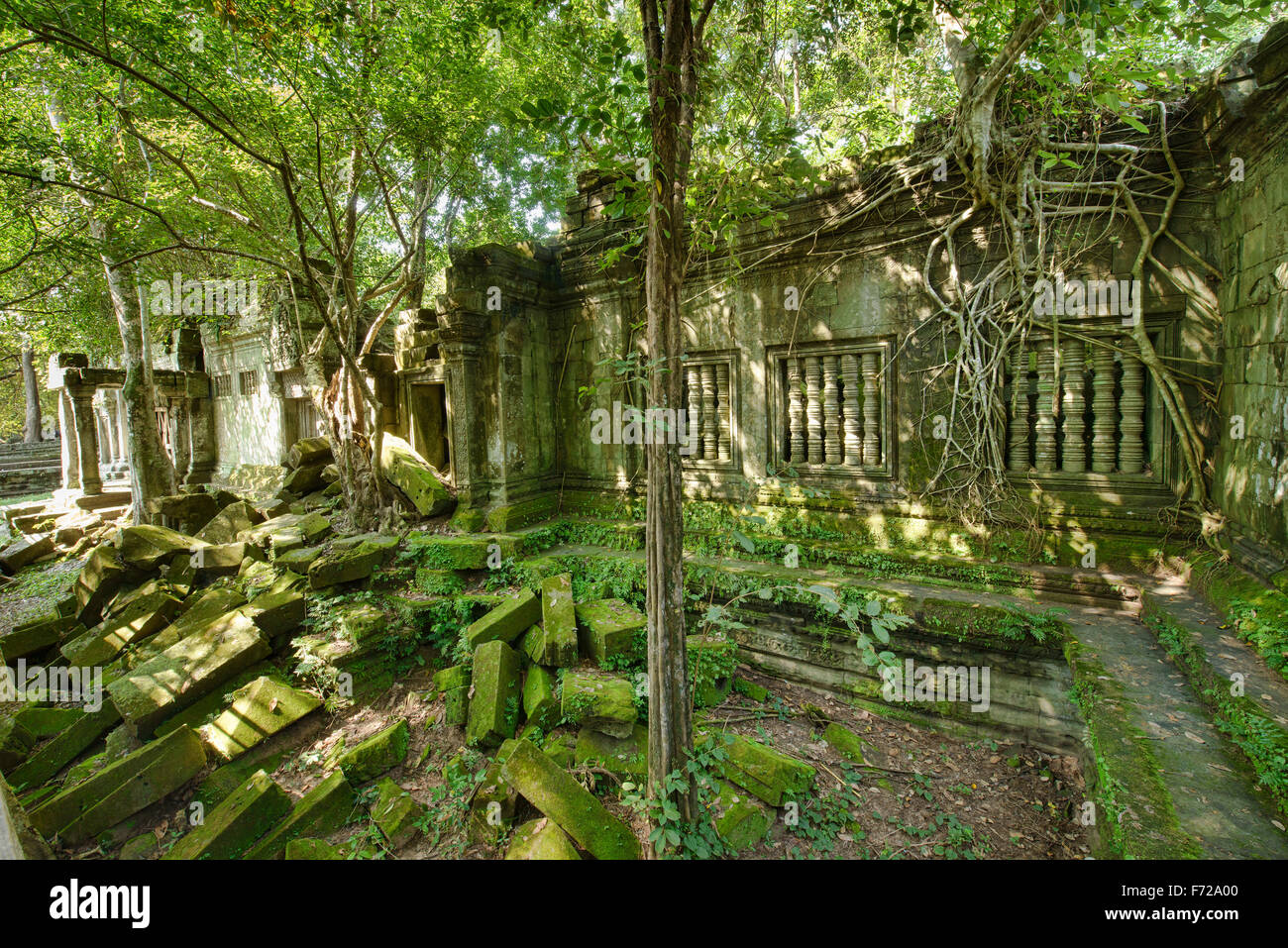 Die versteckten Dschungel-Tempel Beng Mealea, Siem Reap, Kambodscha Stockfoto