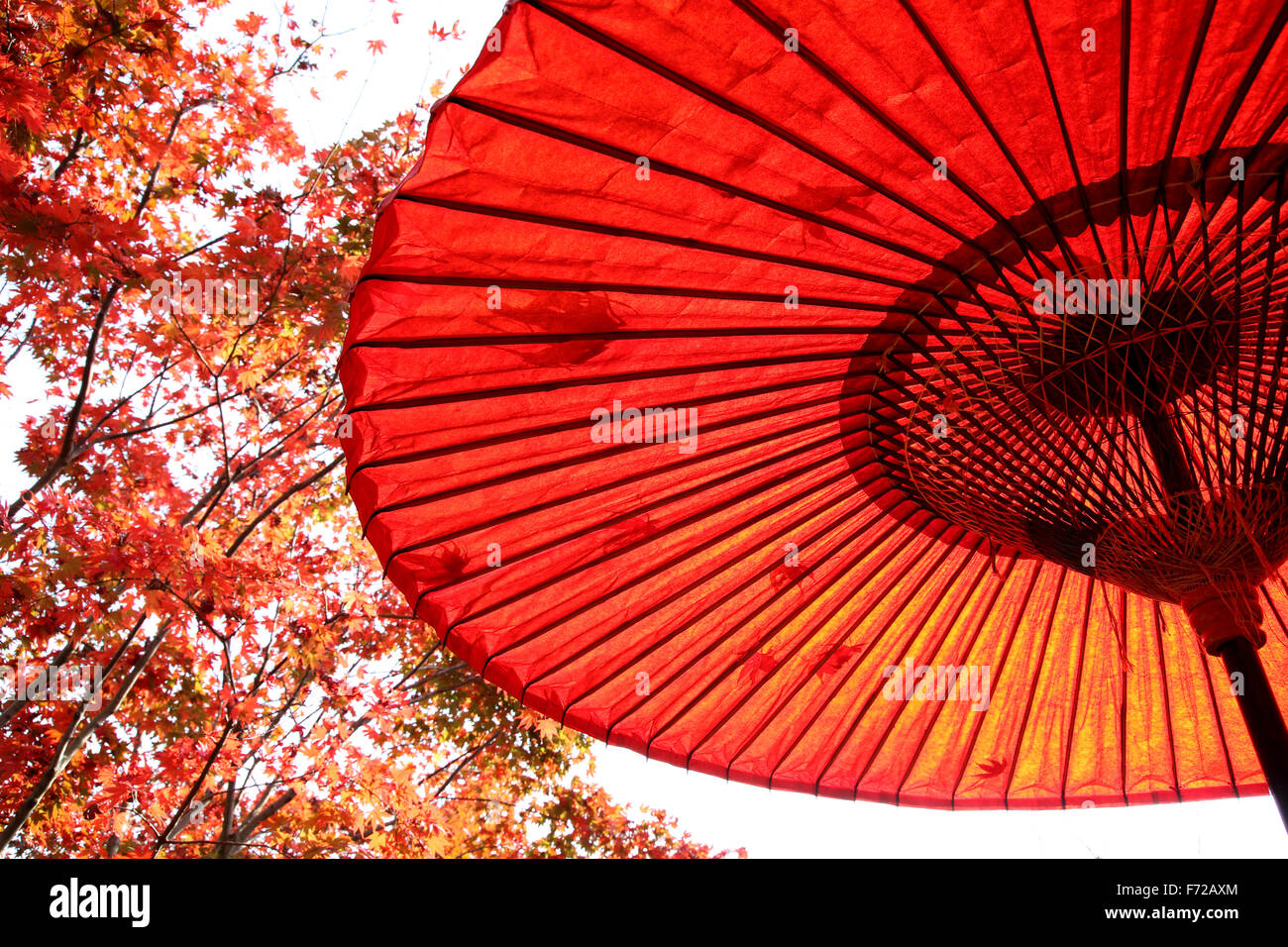 Japanischen traditionellen roten Regenschirm mit Herbst Blätter Stockfoto