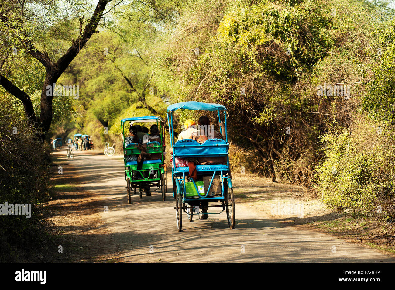 Fahrrad Rikscha auf Straße, Keoladeo Nationalpark, Bharatpur, Uttar Pradesh, Indien, Asien Stockfoto