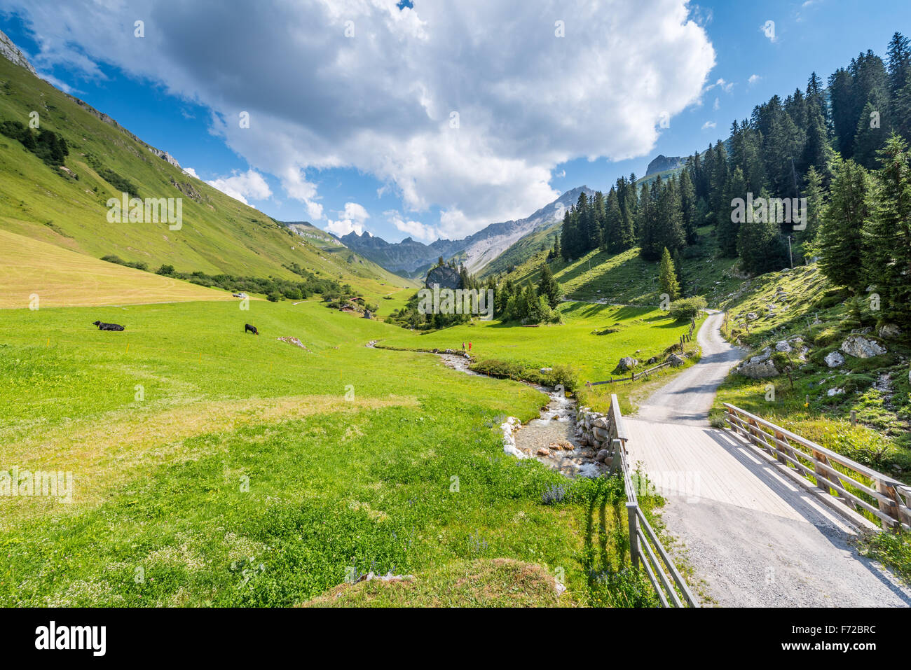 Schöne Landschaft der Berge in den Alpen, in St. Antönien, Schweiz Stockfoto