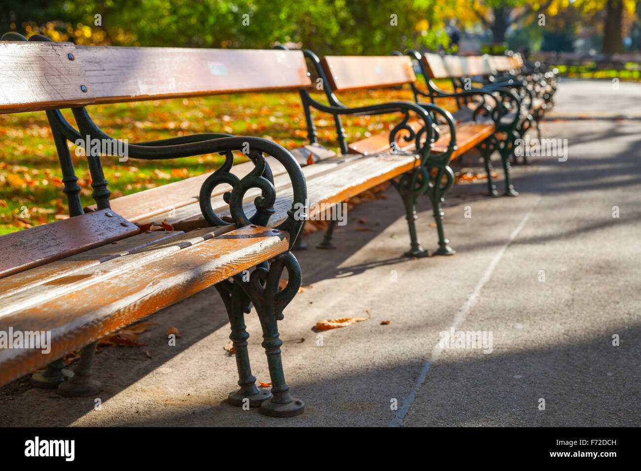 Leere hölzerne Bänke stehen in einer Zeile im herbstlichen park Stockfoto