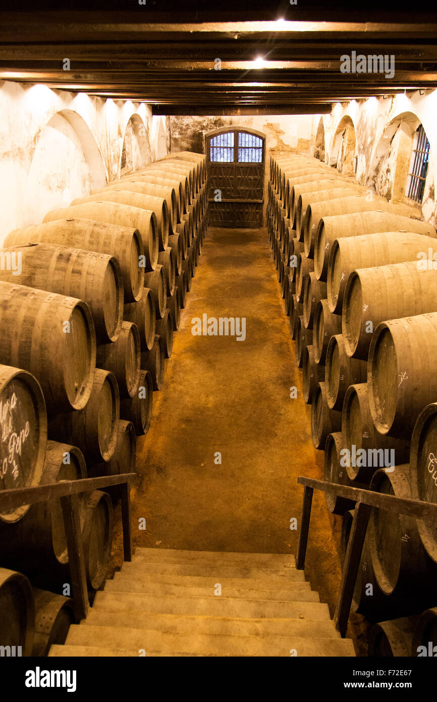 Eichenfässern reifen Sherry Wein im Keller, Gonzalez Byass Bodega, Jerez De La Frontera, Provinz Cadiz, Spanien Stockfoto