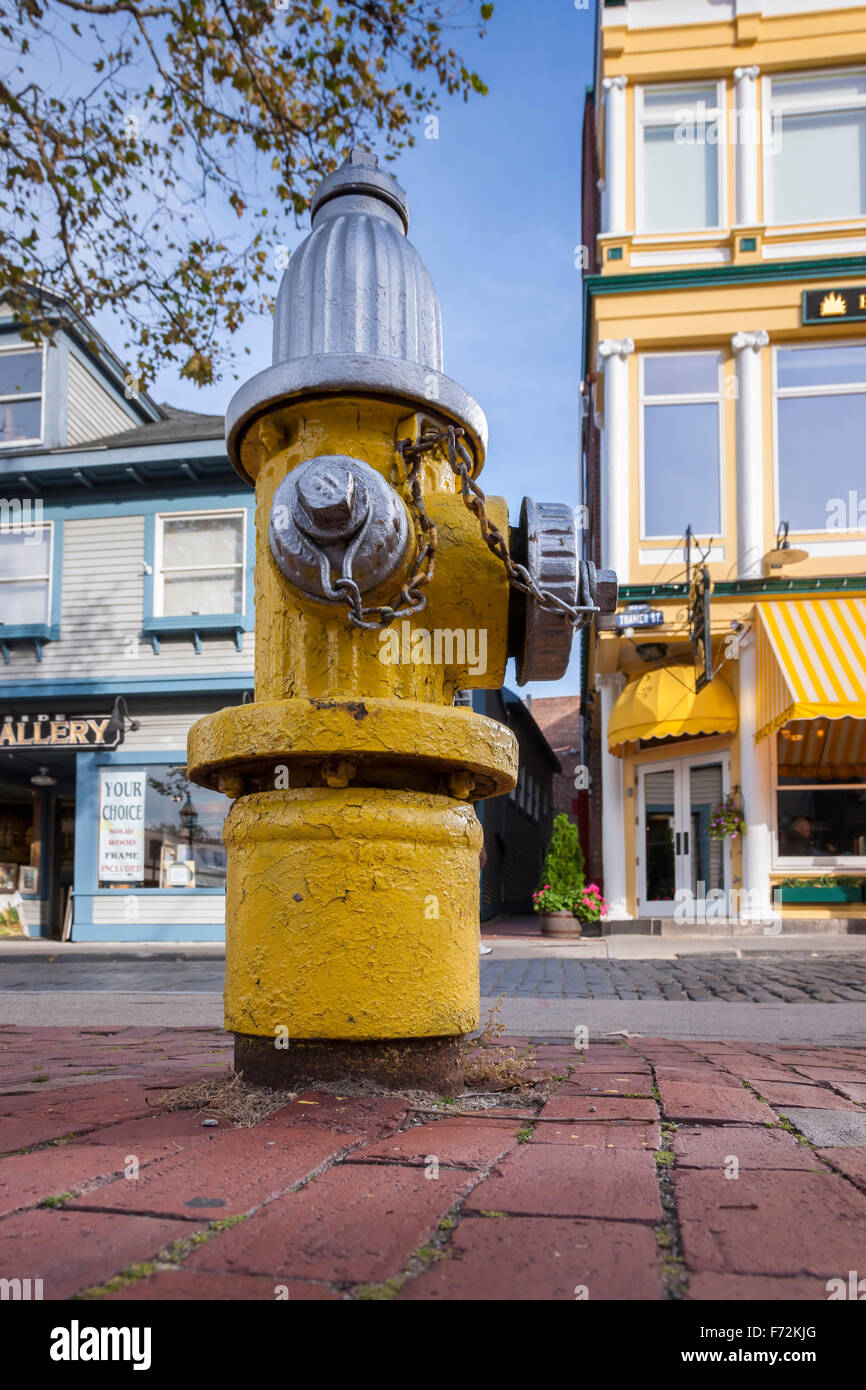 Yellow Fire Hydrant-Standrohr auf Straße, Newport, Rhode Island. Stockfoto