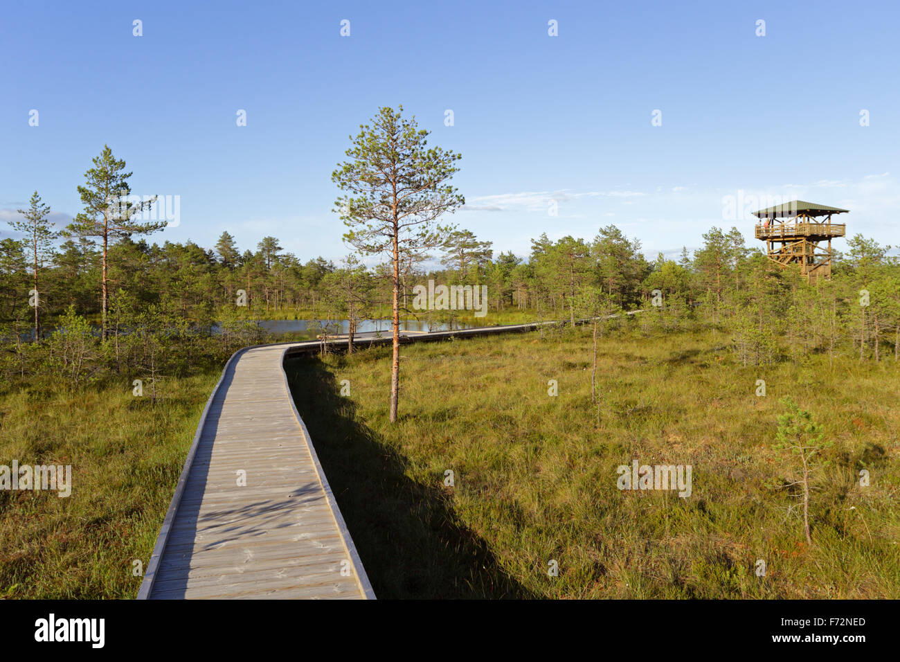 Viru-Moor-Lehrpfad, Lahemaa Nationalpark Stockfoto