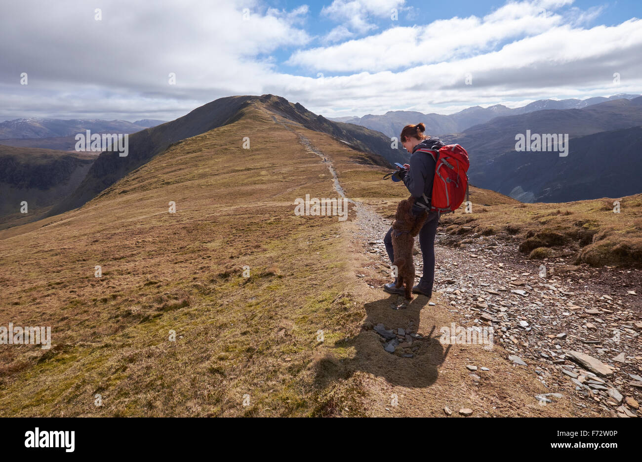 Ein Wanderer, Überprüfung der GPS-Position am Hindscarth Rand mit Dale Head in Ferne, englischen Lake District, Großbritannien. Stockfoto