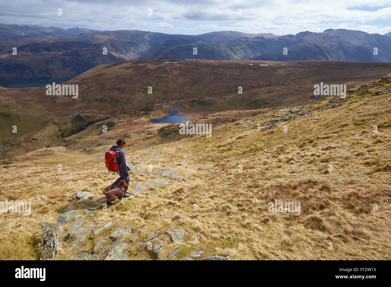 Ein Wanderer und ihr Hund zu Fuß aus dem Gipfel des Dale Head mit hoher Spion in der Ferne, englischen Lake District, Großbritannien. Stockfoto