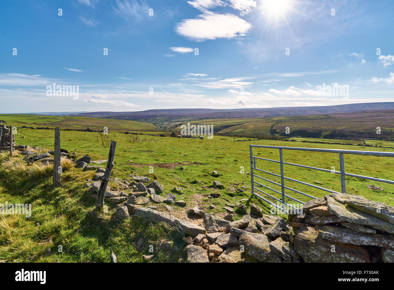 Offene Tor auf Ackerland bei gemeinsamen Edmunbyers in der Grafschaft Durham, englische Landschaft. Stockfoto