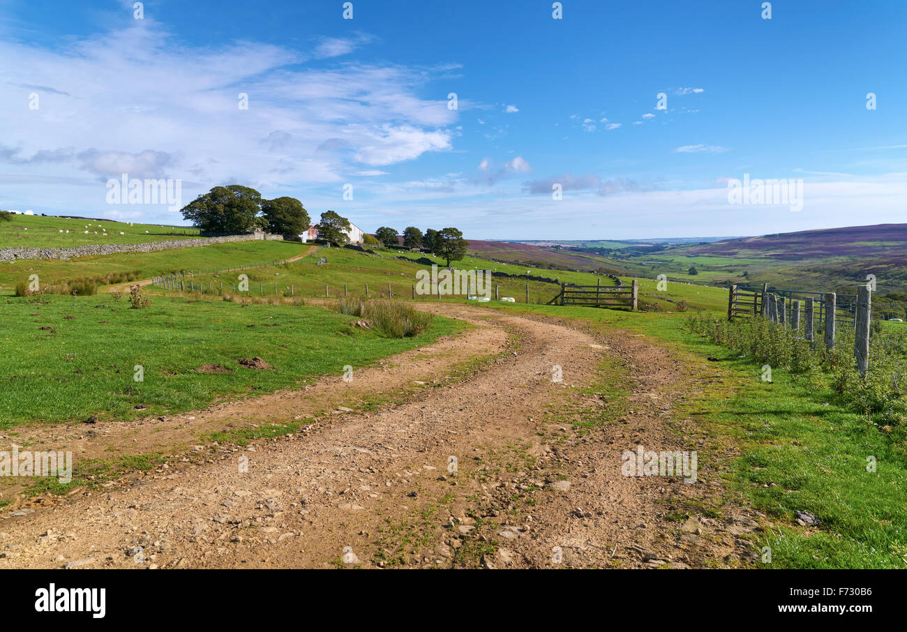 Feldweg führt zu landwirtschaftlichen Gebäuden am gemeinsamen Edmunbyers in der Grafschaft Durham, englische Landschaft. Stockfoto
