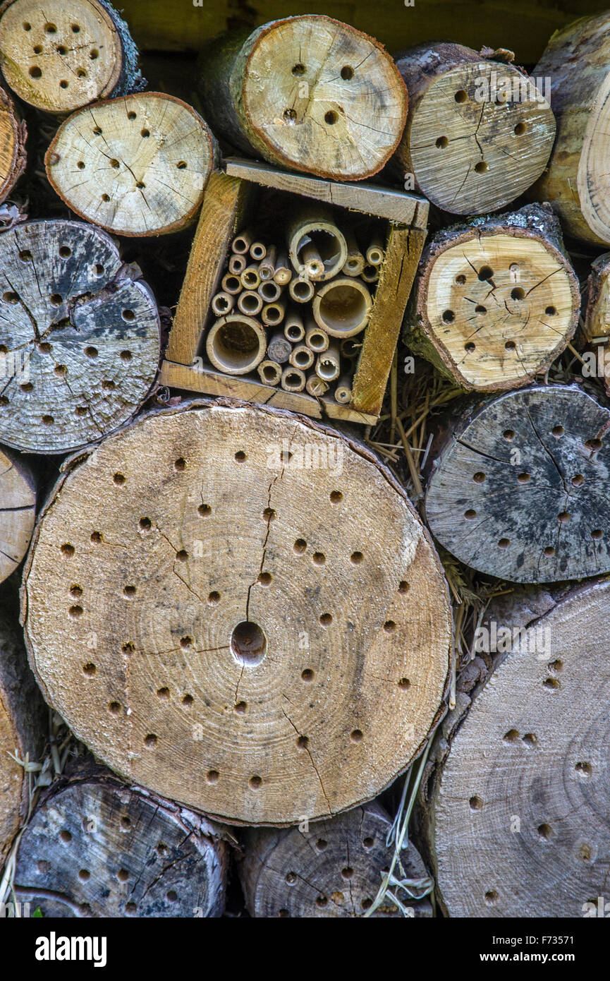 Insekten Unterschlupf mit gebohrten Protokolle und Bambusstöcke Stockfoto