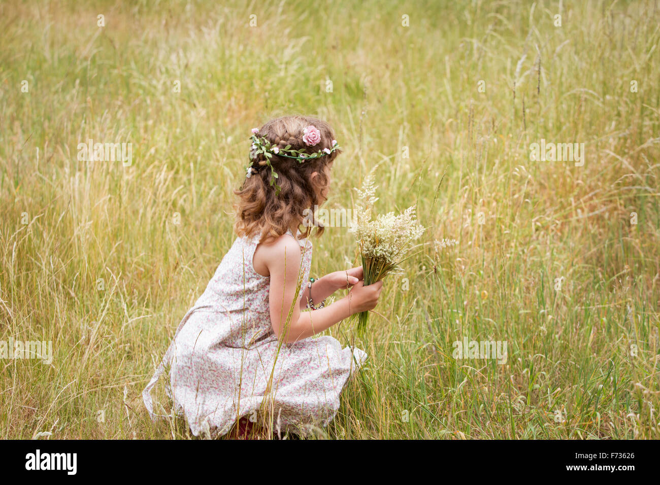 Junges Mädchen mit Blumen im Haar Kommissionierung Wildblumen auf einer Wiese. Stockfoto