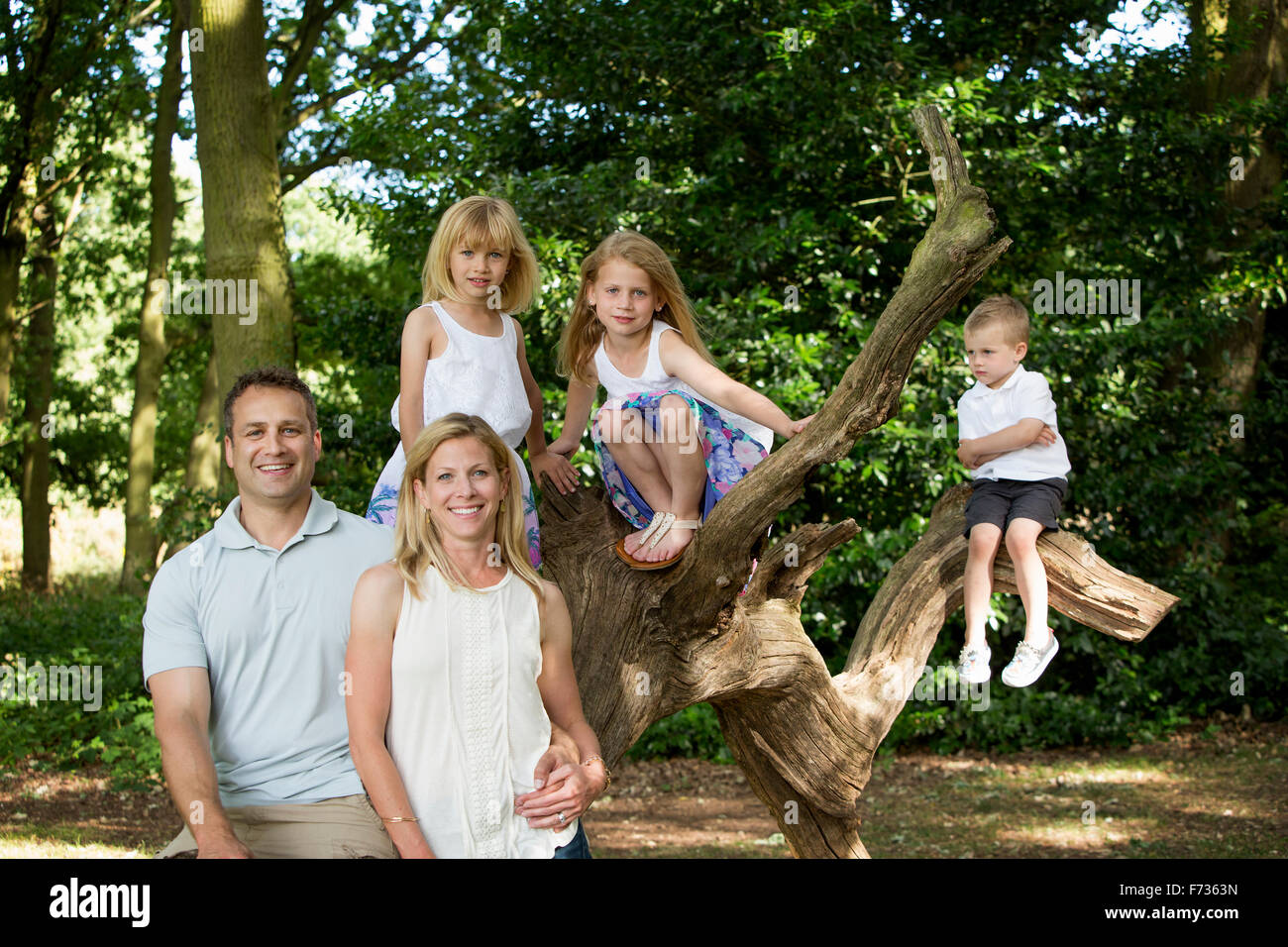 Familie mit drei Kindern von einem Baum in einem Wald, posiert für ein Foto. Stockfoto