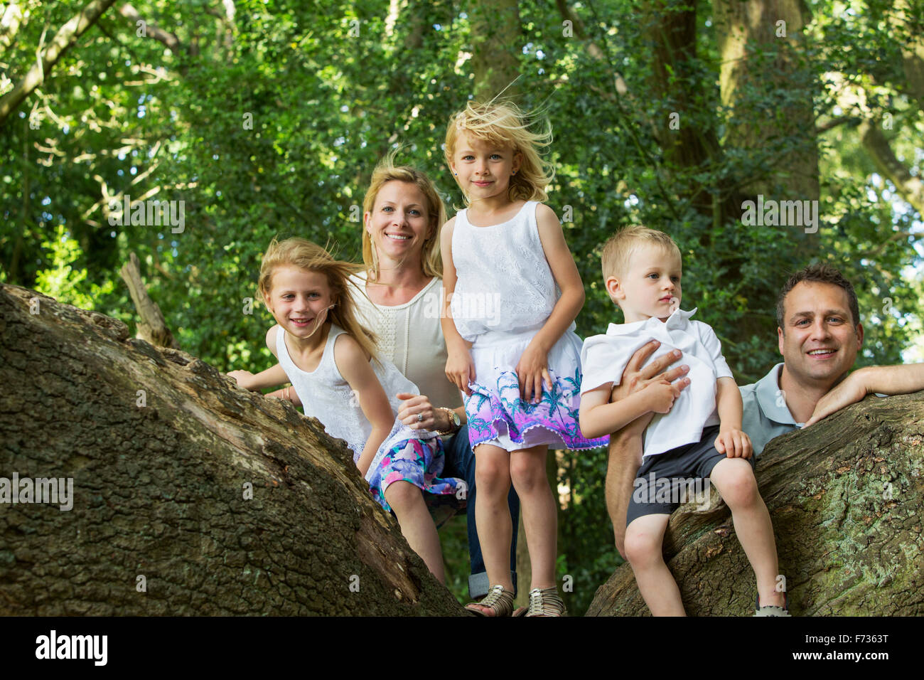 Familie mit drei Kindern von einem Baum in einem Wald, posiert für ein Foto. Stockfoto