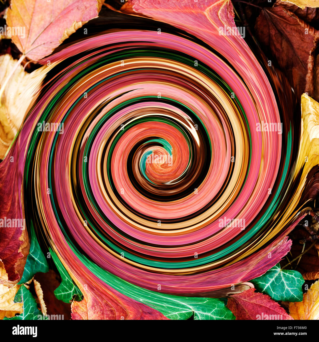 Abstrakte Acer hinterlässt kreisförmige Swirl - Herbst Farben Stockfoto